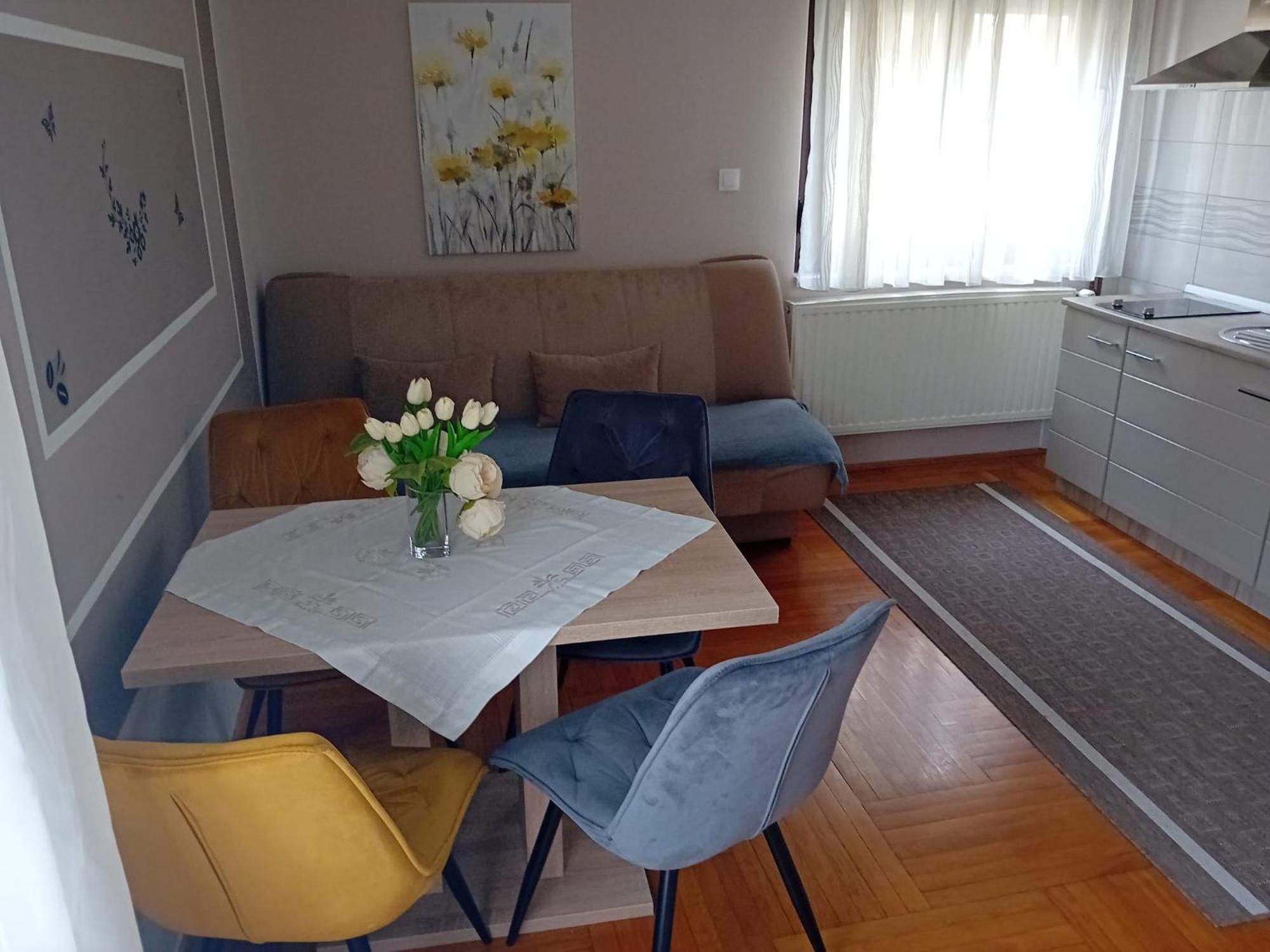 Apartments & Rooms 4 Rijeke カルロヴァッツ エクステリア 写真